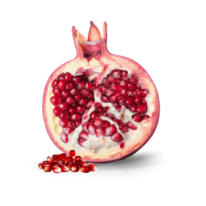 POMEGRANATE SEED OIL