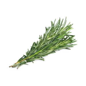 ROSEMARY ESSENTIAL OIL