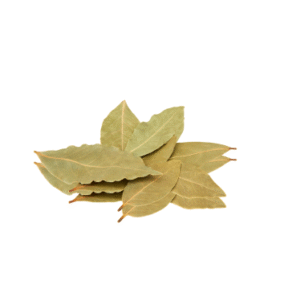 TAMALA (INDIAN BAY LEAF) ESSENTIAL OIL