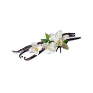 VANILLA HYDROSOL