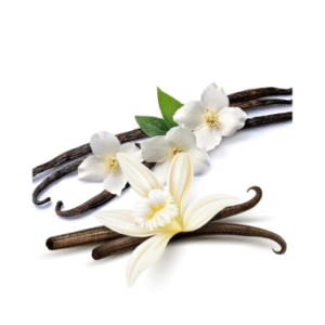 Vanilla Infused Oil